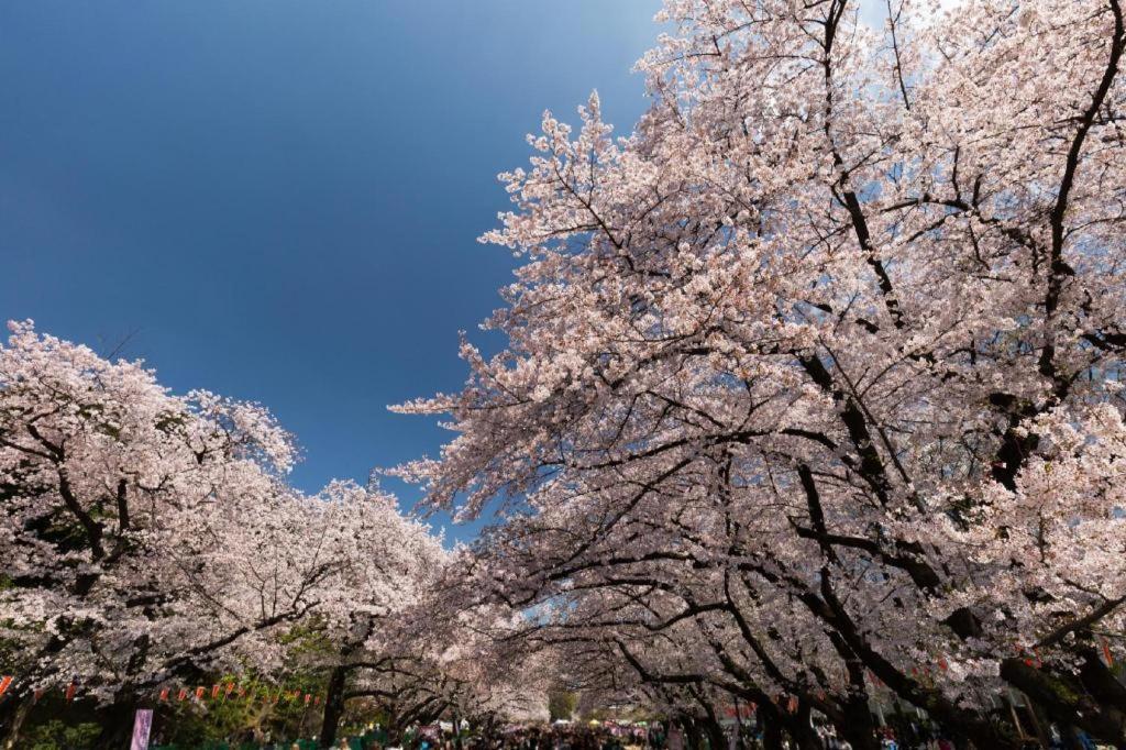 Forest Hongo Tokyo Esterno foto